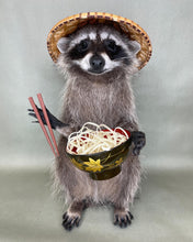 Tanuki Japanese Raccoon Taxidermy with Noodles