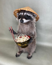 Tanuki Japanese Raccoon Taxidermy with Noodles