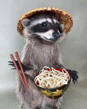 Tanuki Japanese Raccoon Taxidermy with Noodles