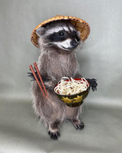 Tanuki Japanese Raccoon Taxidermy with Noodles