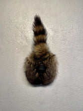 Taxidermy Raccoon Butt Bottle Opener