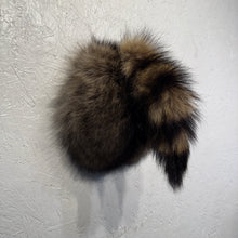 Taxidermy Raccoon Butt Bottle Opener
