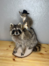 Taxidermy Squirrel Cowboy Riding a Raccoon