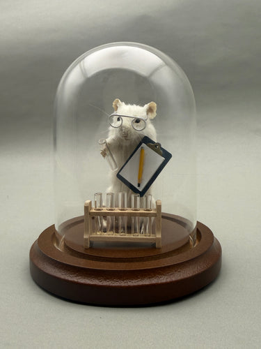 Lab Rat Scientist Mouse Taxidermy Science Researcher