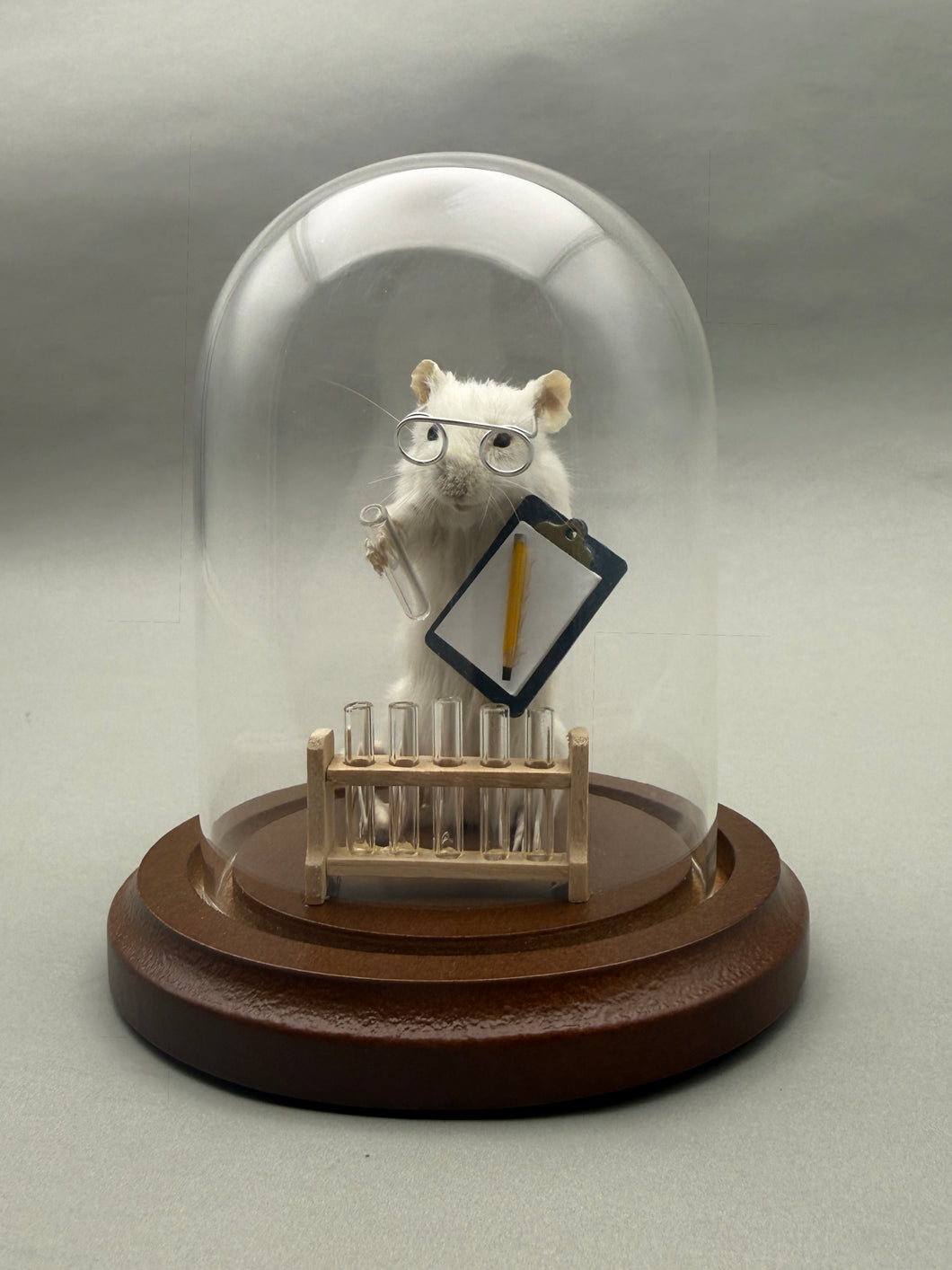 Lab Rat Scientist Mouse Taxidermy Science Researcher