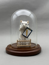 Lab Rat Scientist Mouse Taxidermy Science Researcher