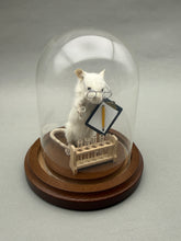 Lab Rat Scientist Mouse Taxidermy Science Researcher