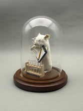 Lab Rat Scientist Mouse Taxidermy Science Researcher