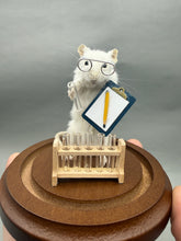 Lab Rat Scientist Mouse Taxidermy Science Researcher