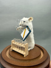 Lab Rat Scientist Mouse Taxidermy Science Researcher