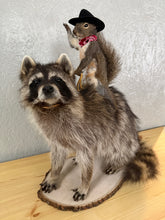 Taxidermy Squirrel Cowboy Riding a Raccoon