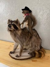 Taxidermy Squirrel Cowboy Riding a Raccoon