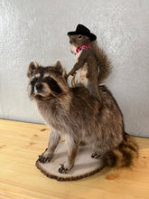 Taxidermy Squirrel Cowboy Riding on a Raccoon