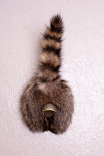 Taxidermy Raccoon Butt Bottle Opener