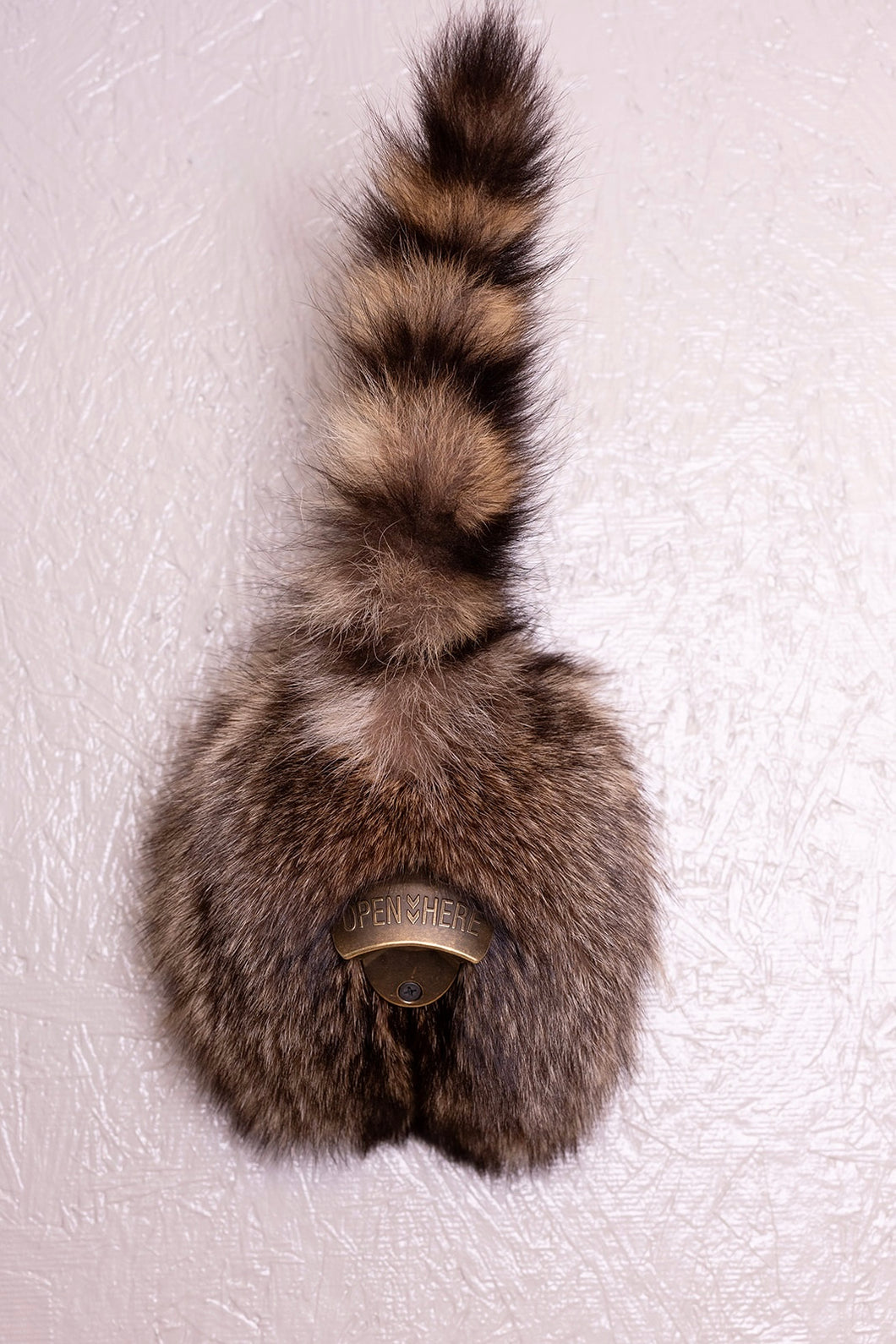 Taxidermy Raccoon Butt Bottle Opener Brooklyn Taxidermy Taxidermy Raccoon Butt Bottle Opener Brooklyn Taxidermy