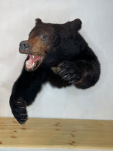 Black Bear Half Mount