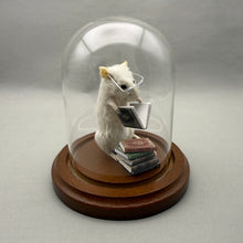 Bookworm Taxidermy Mouse Reading Books - Student, Librarian, Author, Writer