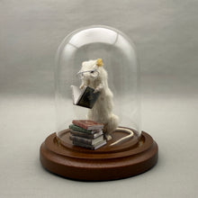 Bookworm Taxidermy Mouse Reading Books - Student, Librarian, Author, Writer
