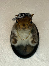 Rapper Thug Life Tupac Inspired Taxidermy Squirrel Finger Guns Bandana Gold Chain Funny