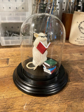 Bookworm Taxidermy Mouse Reading Books - Student, Librarian, Author, Writer