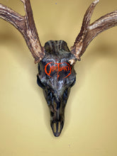 Obituary Metal Band Logo Camo Deer Skull with Antlers European Mount