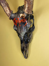 Obituary Metal Band Logo Camo Deer Skull with Antlers European Mount