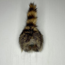 Taxidermy Raccoon Butt Bottle Opener