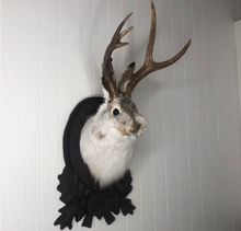 Taxidermy Jackalope on German Carved Plaque