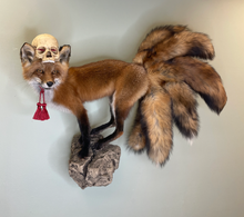 Kitsune Fox Taxidermy Japanese Yokai Folklore Nine Tails Human Skull