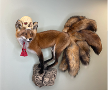Kitsune Fox Taxidermy Japanese Yokai Folklore Nine Tails Human Skull