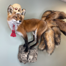 Kitsune Fox Taxidermy Japanese Yokai Folklore Nine Tails Human Skull