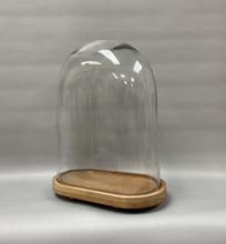 XL Oval Glass Display Dome with Wood Base: Bell Jar