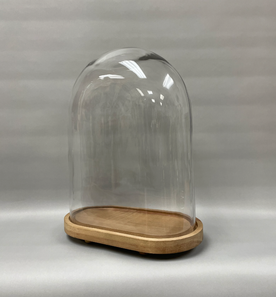 XL Oval Glass Display Dome with Wood Base: Bell Jar