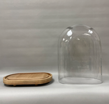 XL Oval Glass Display Dome with Wood Base: Bell Jar