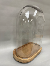 XL Oval Glass Display Dome with Wood Base: Bell Jar