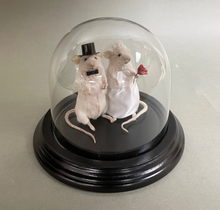 Taxidermy Wedding Mouse Couple Bride and Groom