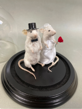 Taxidermy Wedding Mouse Couple Bride and Groom