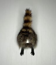 Taxidermy Raccoon Butt Bottle Opener