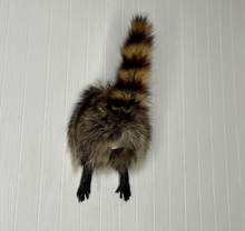Taxidermy Raccoon Butt Bottle Opener