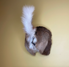 Taxidermy Deer Butt Bottle Opener