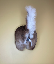 Taxidermy Deer Butt Bottle Opener