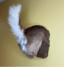 Taxidermy Deer Butt Bottle Opener