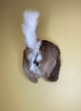Taxidermy Deer Butt Bottle Opener