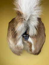 Taxidermy Deer Butt Bottle Opener