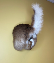 Taxidermy Deer Butt Bottle Opener