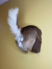Taxidermy Deer Butt Bottle Opener