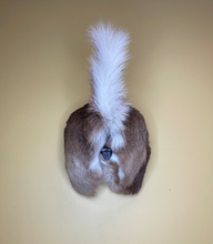 Taxidermy Deer Butt Bottle Opener