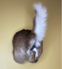 Taxidermy Deer Butt Bottle Opener