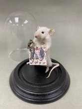 Taxidermy Tattoo Artist Mouse Tattooer