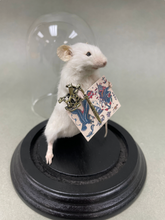 Taxidermy Tattoo Artist Mouse Tattooer